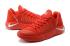Nike Paul George PG2 Heren Basketbalschoenen Chinees Rood Alle 878618