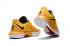 Zapatillas de baloncesto Nike Zoom Live 2017 multicolor para hombre 852420-999