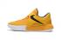 Chaussure de basket-ball Nike Zoom Live 2017 multicolore pour hommes 852420-999