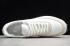 Nike Daybreak Sail Phantom White CT3441 100 2020