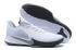 2020 ナイキ マンバ フューリー EP ホワイト ウルフ グレー CK2087 100 、靴、スニーカー
