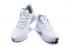 2020 ナイキ マンバ フューリー EP ホワイト ウルフ グレー CK2087 100 、靴、スニーカー
