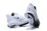 Nike Mamba Fury EP White Wolf Grey CK2087 100 2020 года