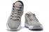 2020 Nike Zoom Freak 1 Atmosphere Grey BQ5422 002