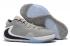 2020 Nike Zoom Freak 1 Atmosphere Grey BQ5422 002