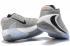 2020 Nike Zoom Freak 1 Atmosphere Grey BQ5422 002