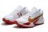 New Release Nike Zoom Freak 2 White Metallic Gold Gym Red Basketball Shoes DA0907-165