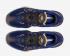 Nike Air Zoom BB NXT Blue Black Metallic Gold Coin CK5707-400