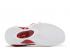 Nike Air Zoom Flight 95 True Red 2023 Noir Blanc DX1165-100