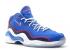 Nike Air Zoom Flight 96 Allen Iverson Game White Royal University Red 317980-400