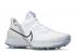 Nike Air Zoom Infinity Tour Golf White Platinum Photon metallic Black Dust CT0540-100