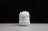 Nike Court Borough Low 2 GS White Arctic Punch DD3023-100