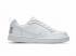 Nike Court Borough Low Big Kids Boys Casual Shoes 839985-100