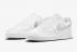 Nike Court Vision Low White Silver Grey CD5434-111