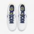 Nike Court Vision Next Nature Wit Hyper Royal Blue Void DH2987-103