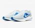 Nike Downshifter 10 Pure Platinum Gris Blanc Bleu Game Royal Chaussures CI9981-001
