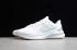 Nike Downshifter 10 White Metallic Silver Argent Metallique CI9981-100