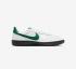 Nike Field General 82 FQ8762-104 Gorge White Green Black