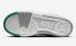 Nike Gamma Force Malachite White Light Smoke Grey DX9176-106