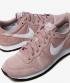 Nike Internationalist Champagne Pink White Black Shoes 828407-621