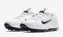 Nike TW71 FastFit White Metallic Cool Grey Pure Platinum Black CD6300-100