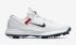 Nike TW71 FastFit White Metallic Cool Grey Pure Platinum Black CD6300-100