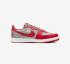 Nike Terminator Low FZ4036-099 White Medium Grey Red Varsity