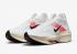 Nike ZoomX Alphafly NEXT 2 Eliud Kipchoge Wit Chili Rood Kokosmelk FD6559-100