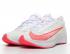 Nike Zoom Fly 3 白色雷射深紅色 AT8240-101