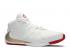 Nike Zoom Freak 1 Ep Roses White Gold Metallic BQ5423-100