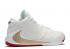 Nike Zoom Freak 1 Ep Roses White Gold Metallic BQ5423-100