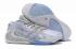 Nike Zoom Freak 1 Pigeon Grey White Feather Basketball Shoes BQ5422-102