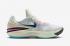 Nike Zoom GT Cut 2 We Are All Greater Sail Light Orewood Brown Black DJ6013-104