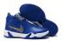 Nike Zoom Heritage N7 Royal Blue University Gold Chaussures de basket-ball CI1683-400