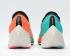 Nike Zoom Vaporfly NEXT% Ekiden Zoom Pack Black Summit White CD4553-300