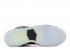 Nike SB Dunk Hi Premier Se Petoskey Dark Charcoal Blanco Grpht Light 645989-010
