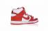 Nike Sb Zoom Dunk Yüksek Pro Üniversite Kırmızı 854851-661