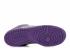 Dunk Low Pro Sb Purple Pigeon Light Prism Graphite Violet 304292-051, 신발, 운동화를