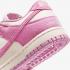Nike Dunk Low HJ7673-101