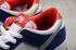 Nike Dunk Low Pro IW QS 巴黎皇家藍金屬銀色大學紅色休閒鞋 839685-416