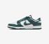 Nike Dunk Low Retro DV0833-111 Vintage White Green