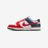 Nike Dunk Low Retro IM2222-100