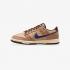 Nike Dunk Low Retro Se HF3141-200