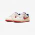 Nike Dunk Low Retro Se HV5749-110