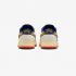 Nike Dunk Low Retro Se HV5749-110