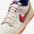Nike Dunk Low Retro Se HV5749-110