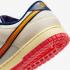 Nike Dunk Low Retro Se HV5749-110