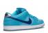 Nike Dunk Low Sb Blue Fury Royal Deep BQ6817-400