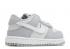 Nike Dunk Low Td Twotoned Grau Platin Weiß Wolf Pure DH9761-001