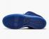 Мужские туфли Nike Dunk SB Low Premium Deep Blue Moon 313170-444